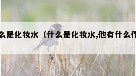 什么是化妆水（什么是化妆水,他有什么作用）