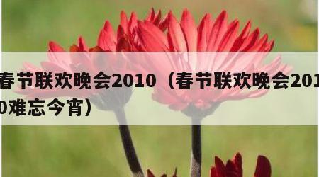 春节联欢晚会2010（春节联欢晚会2010难忘今宵）