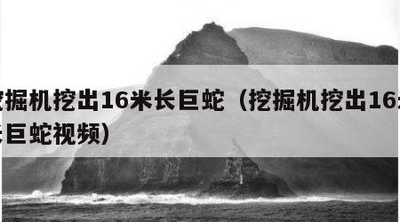 挖掘机挖出16米长巨蛇（挖掘机挖出16米长巨蛇视频）