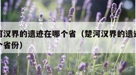 楚河汉界的遗迹在哪个省（楚河汉界的遗迹在哪个省份）