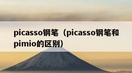 picasso钢笔（picasso钢笔和pimio的区别）