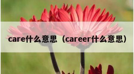 care什么意思（career什么意思）