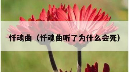 忏魂曲（忏魂曲听了为什么会死）