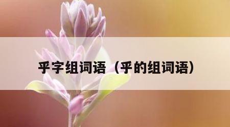 乎字组词语（乎的组词语）