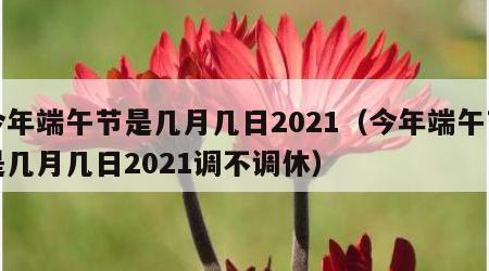 今年端午节是几月几日2021（今年端午节是几月几日2021调不调休）