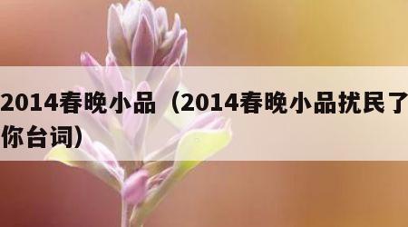 2014春晚小品（2014春晚小品扰民了你台词）