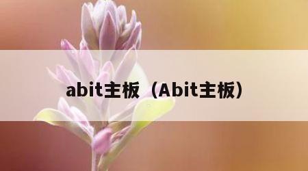 abit主板（Abit主板）