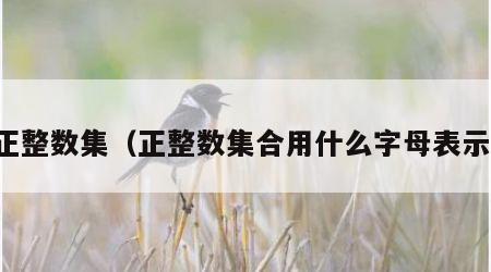 正整数集（正整数集合用什么字母表示）