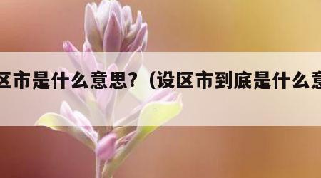 设区市是什么意思?（设区市到底是什么意思）