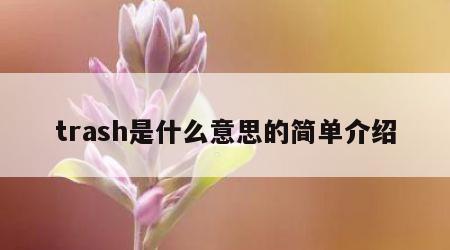 trash是什么意思的简单介绍