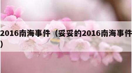 2016南海事件（妥妥的2016南海事件）