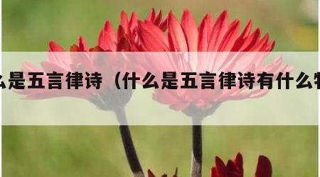 什么是五言律诗（什么是五言律诗有什么特点）