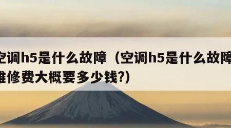 空调h5是什么故障（空调h5是什么故障,维修费大概要多少钱?）