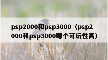 psp2000和psp3000（psp2000和psp3000哪个可玩性高）