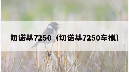 切诺基7250（切诺基7250车模）