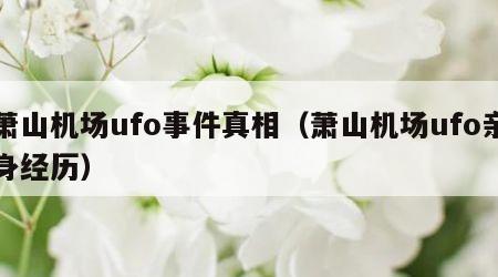 萧山机场ufo事件真相（萧山机场ufo亲身经历）