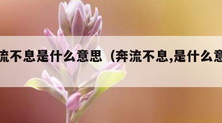 奔流不息是什么意思（奔流不息,是什么意思）