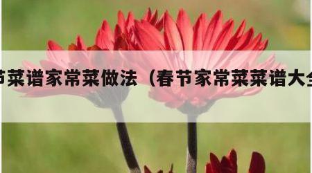 春节菜谱家常菜做法（春节家常菜菜谱大全窍门）