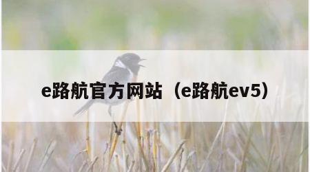 e路航官方网站（e路航ev5）