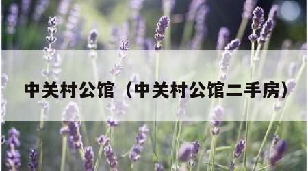 中关村公馆（中关村公馆二手房）