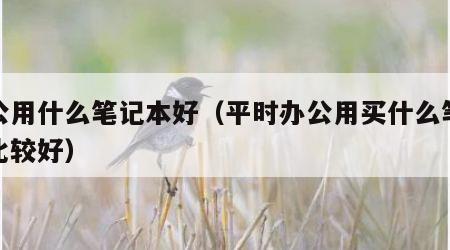 办公用什么笔记本好（平时办公用买什么笔记本比较好）