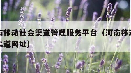 河南移动社会渠道管理服务平台（河南移动社会渠道网址）