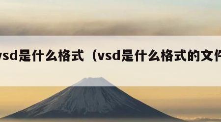 vsd是什么格式（vsd是什么格式的文件）