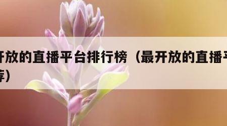 最开放的直播平台排行榜（最开放的直播平台推荐）