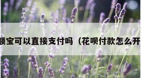 余额宝可以直接支付吗（花呗付款怎么开通）