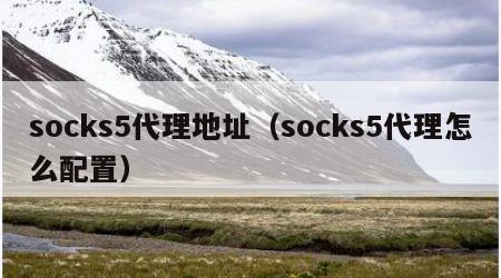 socks5代理地址（socks5代理怎么配置）