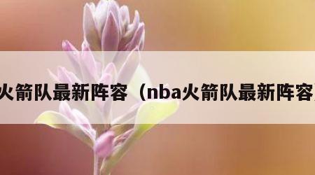 火箭队最新阵容（nba火箭队最新阵容）