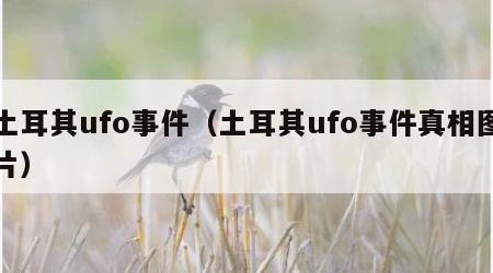 土耳其ufo事件（土耳其ufo事件真相图片）