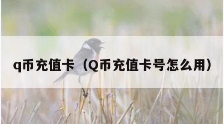 q币充值卡（Q币充值卡号怎么用）