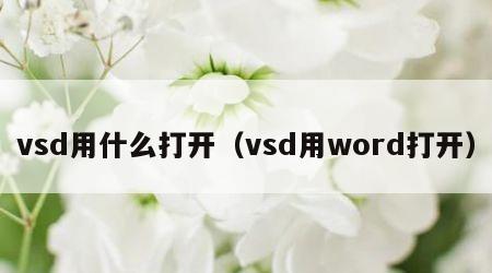 vsd用什么打开（vsd用word打开）