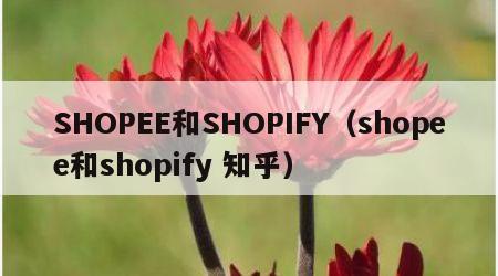 SHOPEE和SHOPIFY（shopee和shopify 知乎）