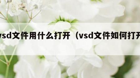 vsd文件用什么打开（vsd文件如何打开）