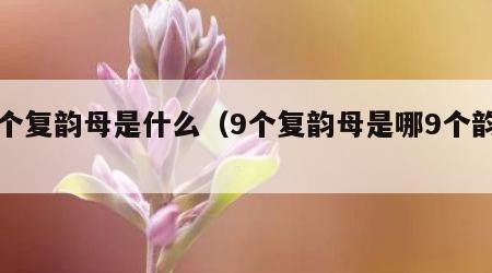 九个复韵母是什么（9个复韵母是哪9个韵母）