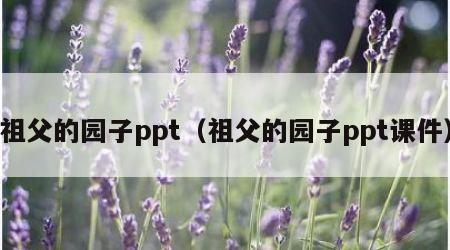 祖父的园子ppt（祖父的园子ppt课件）