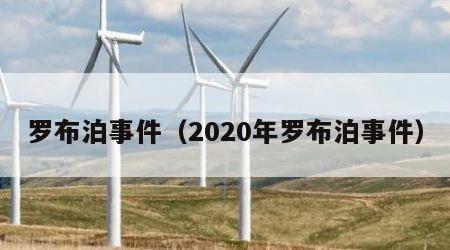 罗布泊事件（2020年罗布泊事件）