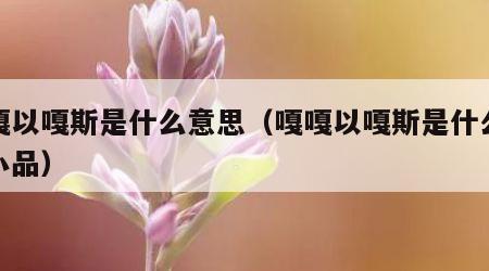 嘎嘎以嘎斯是什么意思（嘎嘎以嘎斯是什么意思小品）