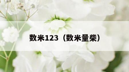 数米123（数米量柴）