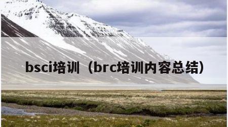 bsci培训（brc培训内容总结）