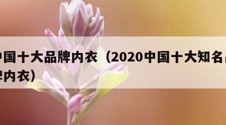 中国十大品牌内衣（2020中国十大知名品牌内衣）