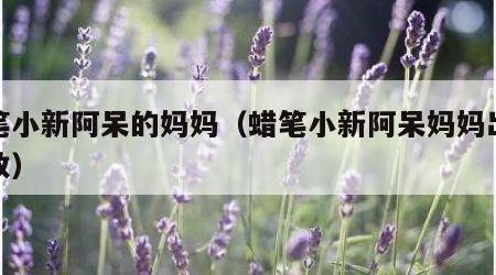 蜡笔小新阿呆的妈妈（蜡笔小新阿呆妈妈出现集数）