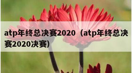 atp年终总决赛2020（atp年终总决赛2020决赛）