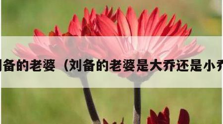 刘备的老婆（刘备的老婆是大乔还是小乔）