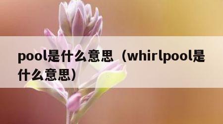 pool是什么意思（whirlpool是什么意思）