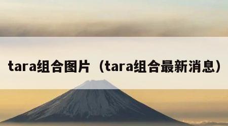 tara组合图片（tara组合最新消息）