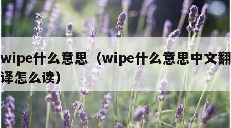 wipe什么意思（wipe什么意思中文翻译怎么读）