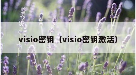 visio密钥（visio密钥激活）